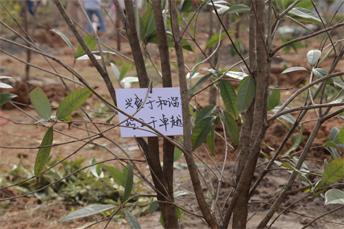 IMG_3368.jpg IMG_3368.jpg